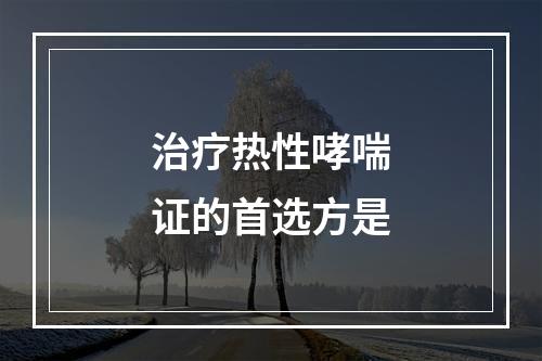 治疗热性哮喘证的首选方是