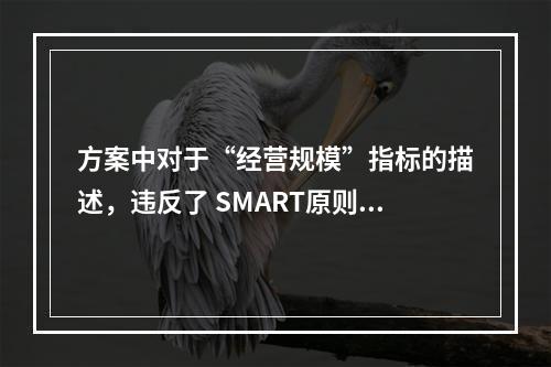 方案中对于“经营规模”指标的描述，违反了 SMART原则的（