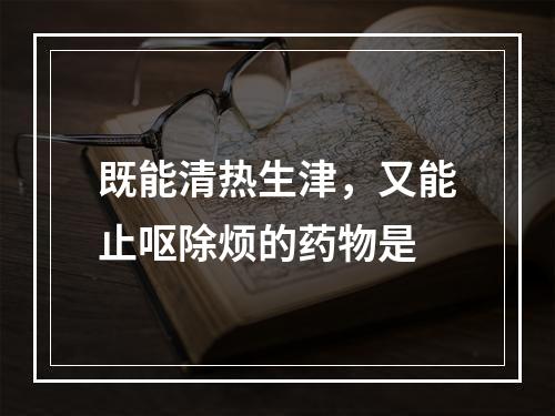 既能清热生津，又能止呕除烦的药物是