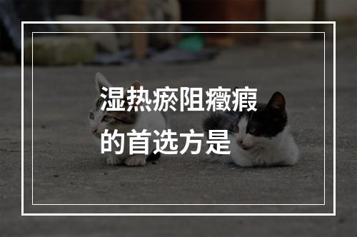 湿热瘀阻癥瘕的首选方是