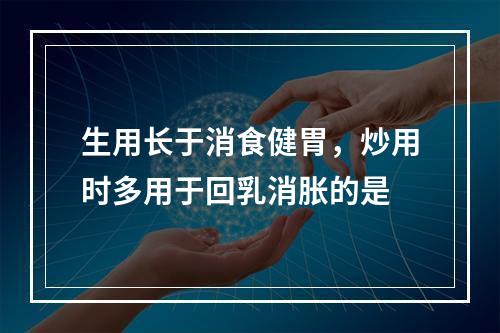 生用长于消食健胃，炒用时多用于回乳消胀的是