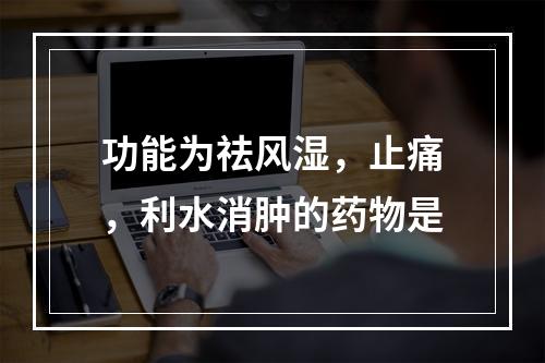 功能为祛风湿，止痛，利水消肿的药物是