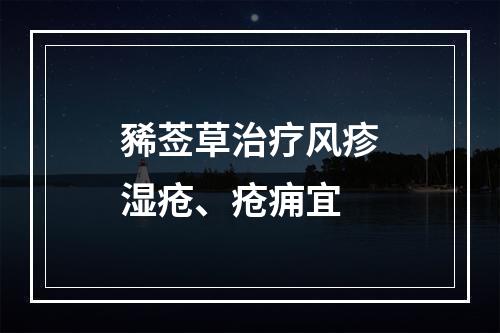 豨莶草治疗风疹湿疮、疮痈宜