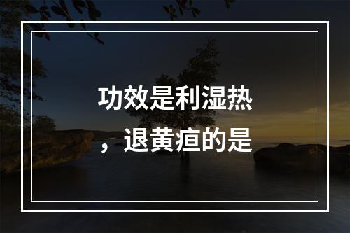 功效是利湿热，退黄疸的是