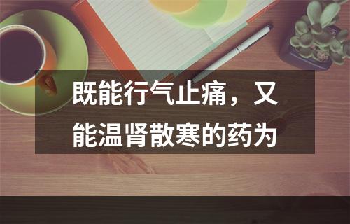 既能行气止痛，又能温肾散寒的药为