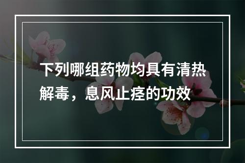 下列哪组药物均具有清热解毒，息风止痉的功效