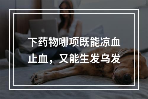 下药物哪项既能凉血止血，又能生发乌发