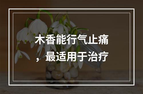 木香能行气止痛，最适用于治疗