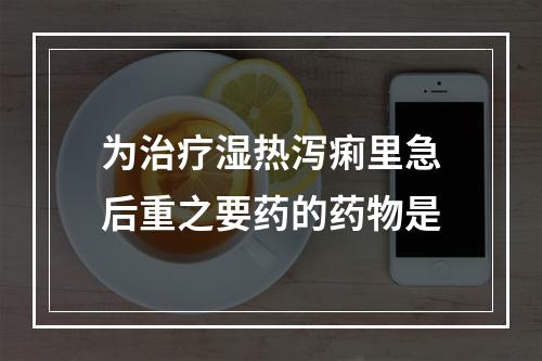 为治疗湿热泻痢里急后重之要药的药物是