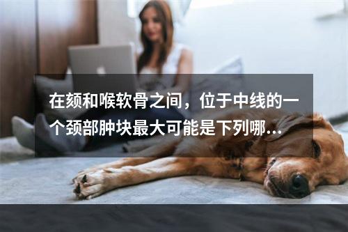 在颏和喉软骨之间，位于中线的一个颈部肿块最大可能是下列哪一种