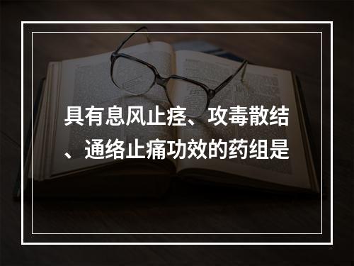 具有息风止痉、攻毒散结、通络止痛功效的药组是