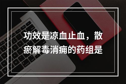 功效是凉血止血，散瘀解毒消痈的药组是