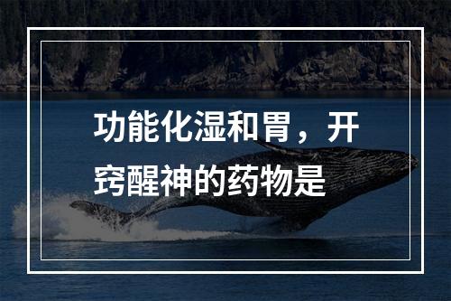 功能化湿和胃，开窍醒神的药物是