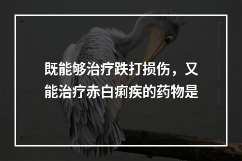 既能够治疗跌打损伤，又能治疗赤白痢疾的药物是