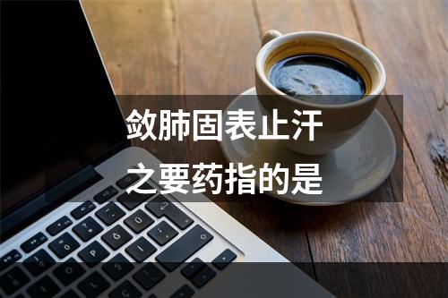 敛肺固表止汗之要药指的是