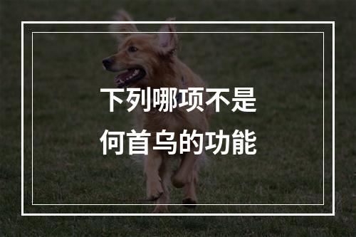 下列哪项不是何首乌的功能