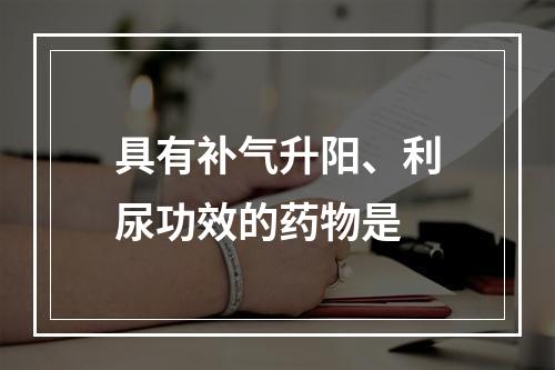 具有补气升阳、利尿功效的药物是