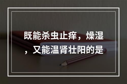 既能杀虫止痒，燥湿，又能温肾壮阳的是