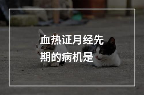 血热证月经先期的病机是