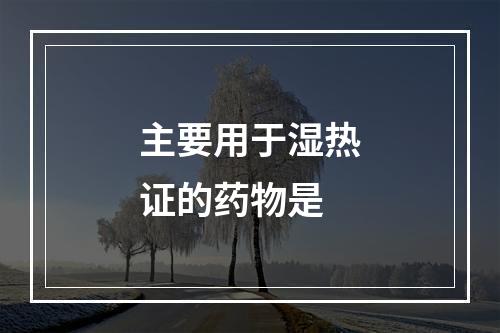 主要用于湿热证的药物是