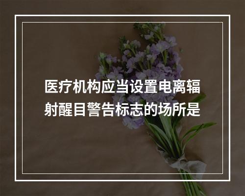 医疗机构应当设置电离辐射醒目警告标志的场所是