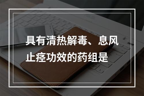 具有清热解毒、息风止痉功效的药组是