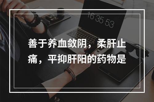 善于养血敛阴，柔肝止痛，平抑肝阳的药物是