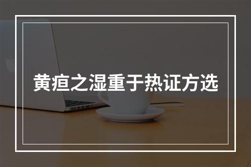 黄疸之湿重于热证方选