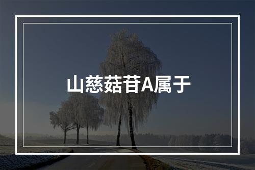 山慈菇苷A属于