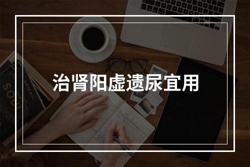 治肾阳虚遗尿宜用