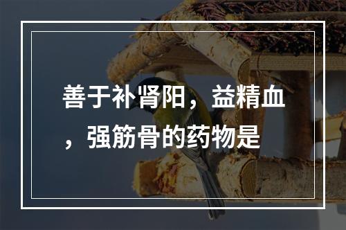 善于补肾阳，益精血，强筋骨的药物是