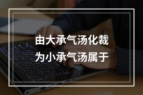 由大承气汤化裁为小承气汤属于