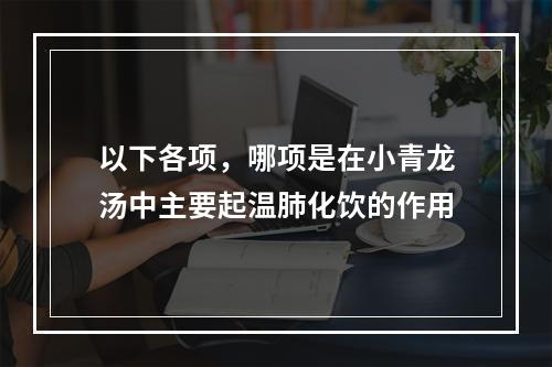 以下各项，哪项是在小青龙汤中主要起温肺化饮的作用