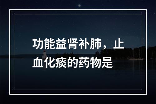 功能益肾补肺，止血化痰的药物是