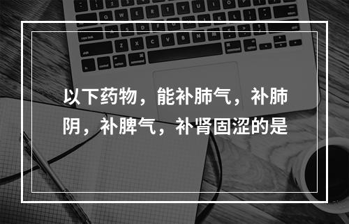 以下药物，能补肺气，补肺阴，补脾气，补肾固涩的是