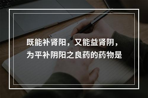 既能补肾阳，又能益肾阴，为平补阴阳之良药的药物是