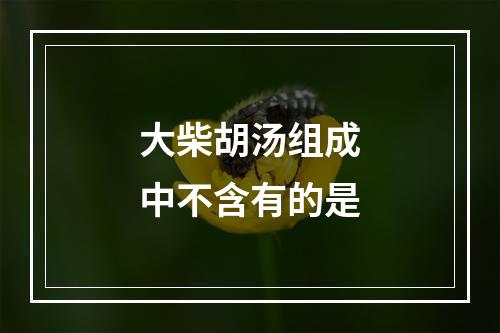 大柴胡汤组成中不含有的是