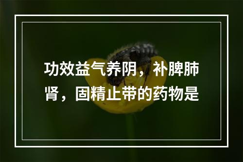 功效益气养阴，补脾肺肾，固精止带的药物是