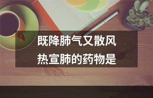 既降肺气又散风热宣肺的药物是