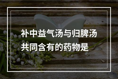 补中益气汤与归脾汤共同含有的药物是