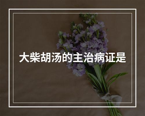 大柴胡汤的主治病证是