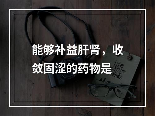 能够补益肝肾，收敛固涩的药物是