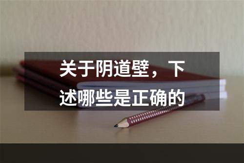 关于阴道壁，下述哪些是正确的