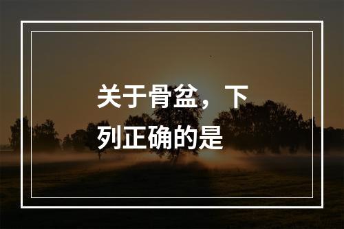 关于骨盆，下列正确的是