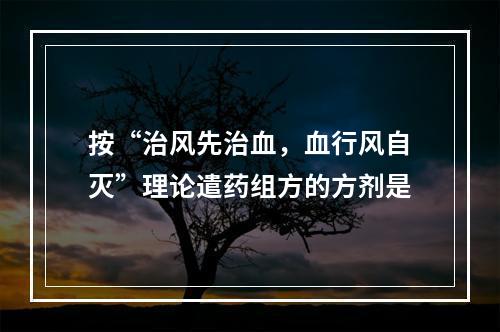 按“治风先治血，血行风自灭”理论遣药组方的方剂是