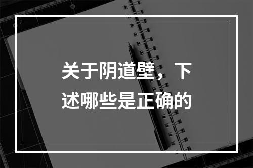 关于阴道壁，下述哪些是正确的