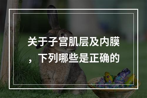 关于子宫肌层及内膜，下列哪些是正确的