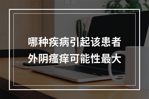 哪种疾病引起该患者外阴瘙痒可能性最大