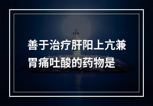 善于治疗肝阳上亢兼胃痛吐酸的药物是