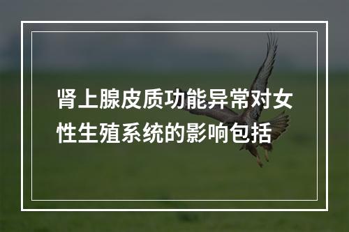 肾上腺皮质功能异常对女性生殖系统的影响包括